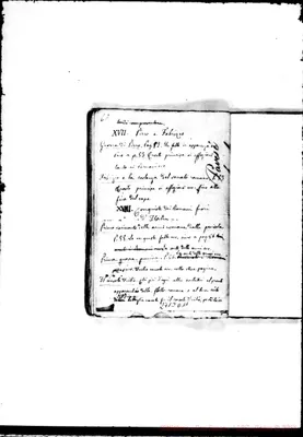 Fotogramma D 11