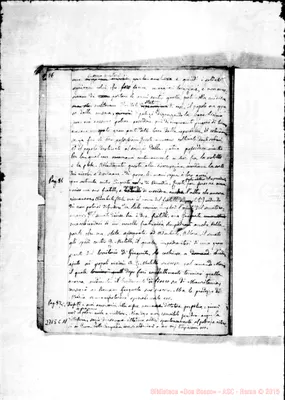 Fotogramma C 11