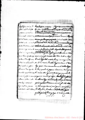 Fotogramma D 11