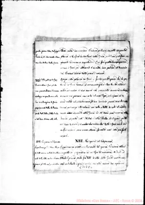 Fotogramma D 6