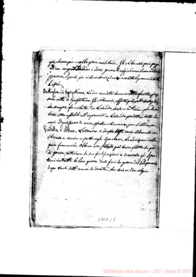 Fotogramma C 5