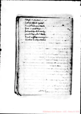 Fotogramma C 5