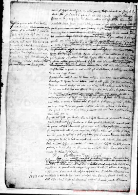 Fotogramma C 11