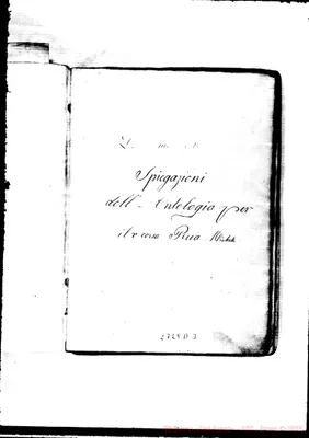 Fotogramma D 3