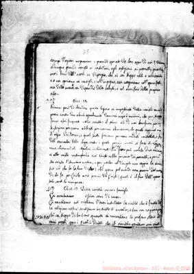 Fotogramma D 11