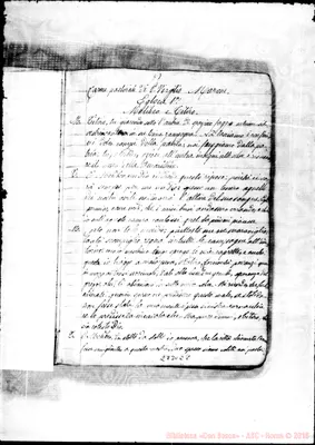 Fotogramma E 8