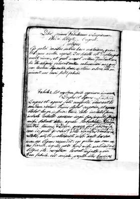 Fotogramma B 5