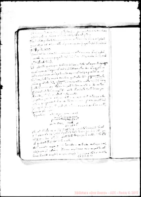 Fotogramma A 11