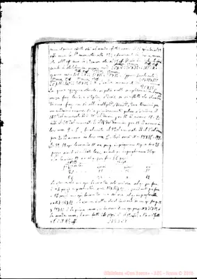Fotogramma C 7