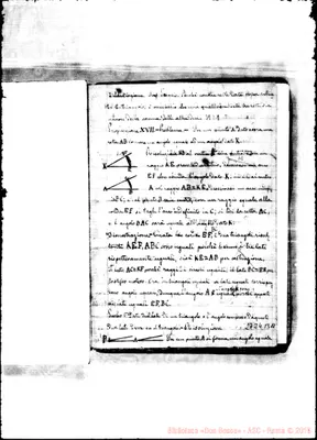 Fotogramma B 11
