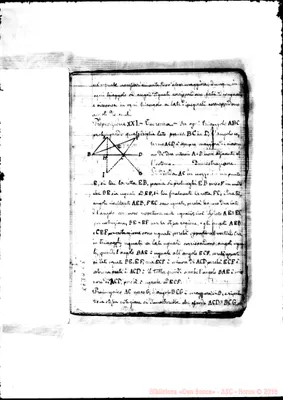 Fotogramma C 5