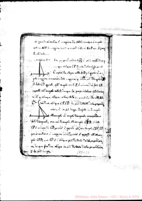 Fotogramma C 6