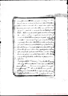 Fotogramma C 8