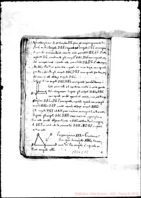 Fotogramma C 12