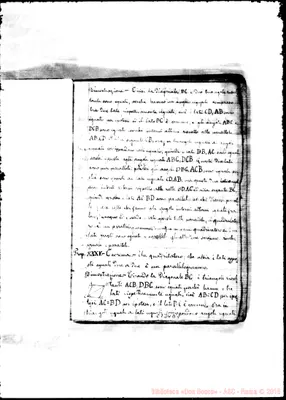 Fotogramma D 5