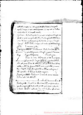 Fotogramma D 8