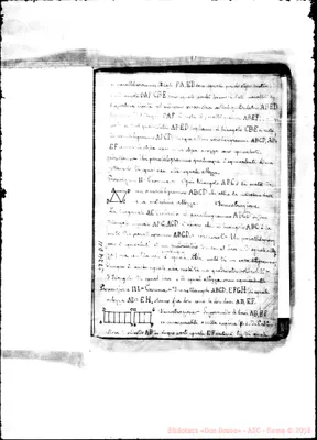 Fotogramma D 11