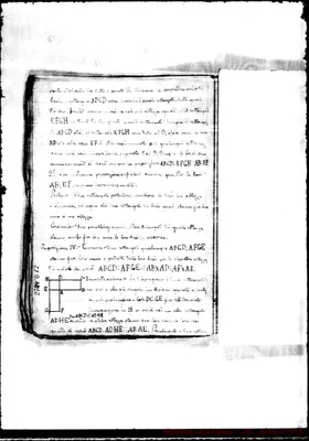 Fotogramma D 12