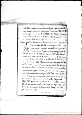 Fotogramma E 11