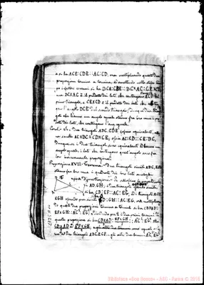 Fotogramma A 10