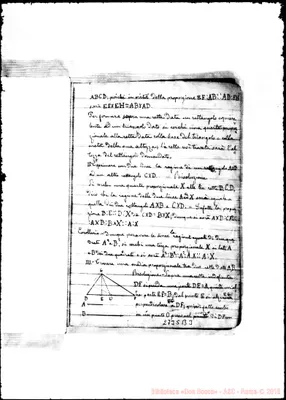 Fotogramma B 3