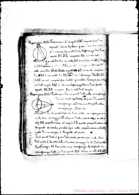 Fotogramma C 6