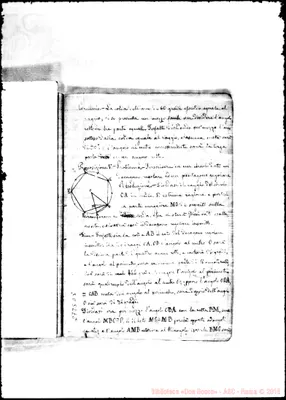 Fotogramma D 5