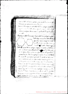 Fotogramma D 8