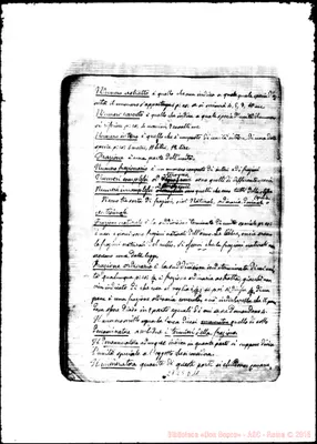 Fotogramma D 11