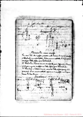 Fotogramma B 8