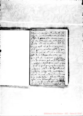 Fotogramma D 7