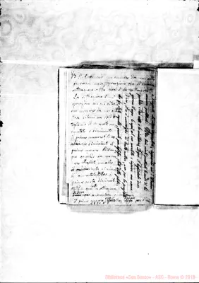 Fotogramma D 8