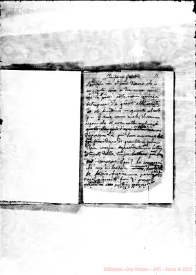 Fotogramma D 11