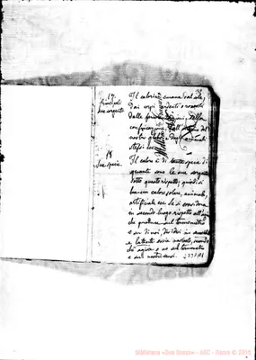 Fotogramma A 1