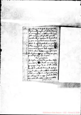 Fotogramma B 4