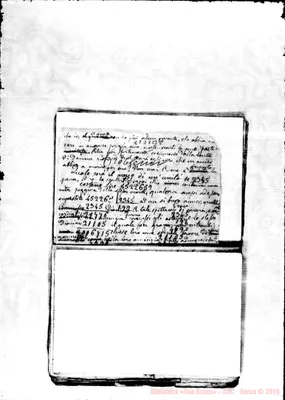 Fotogramma B 8