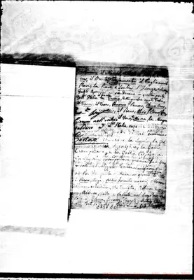 Fotogramma C 2