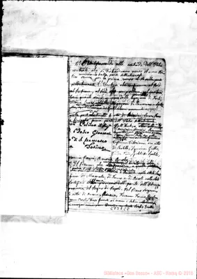 Fotogramma C 8
