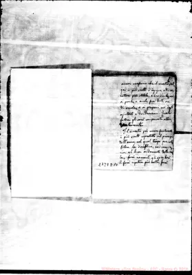 Fotogramma D 10