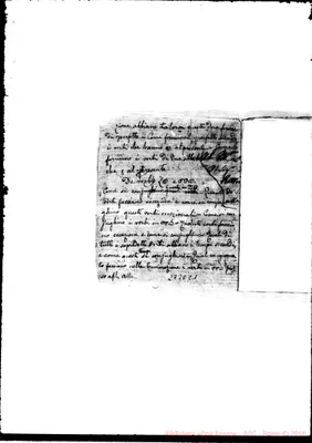 Fotogramma C 1