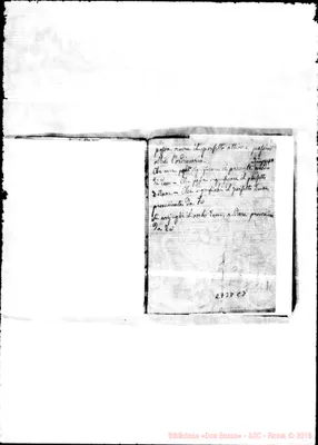 Fotogramma C 8