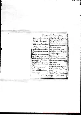 Fotogramma B 4