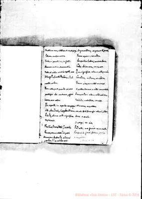 Fotogramma B 4