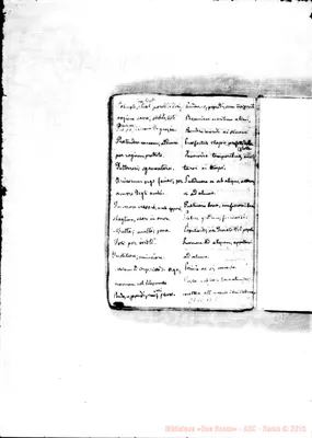 Fotogramma B 5