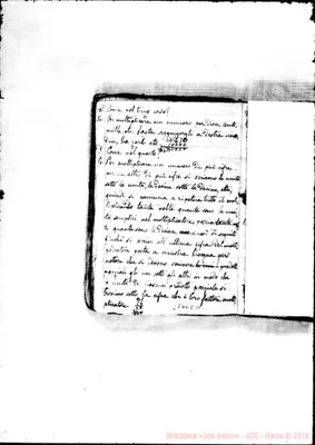 Fotogramma C 11
