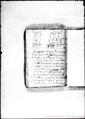 Fotogramma B 1