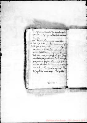Fotogramma B 3