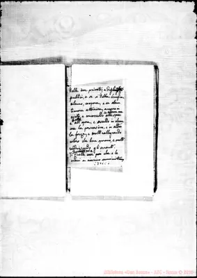 Fotogramma C 7