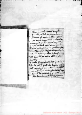 Fotogramma C 11