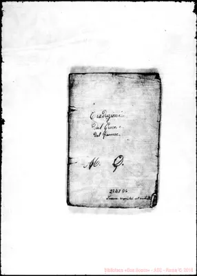 Fotogramma D 6